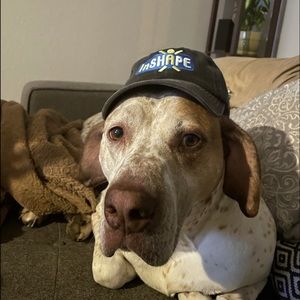 Meet your Posher, Justin